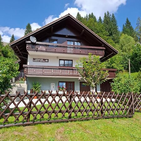 Apartma Cvrsta Trojka Jesenice Extérieur photo