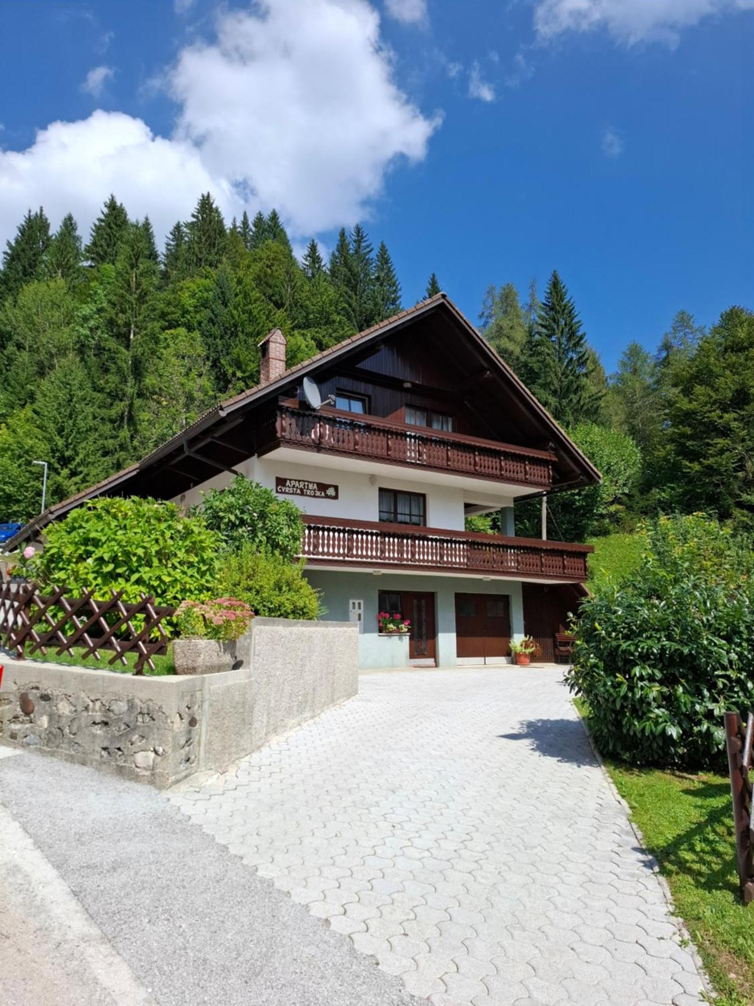 Apartma Cvrsta Trojka Jesenice Extérieur photo