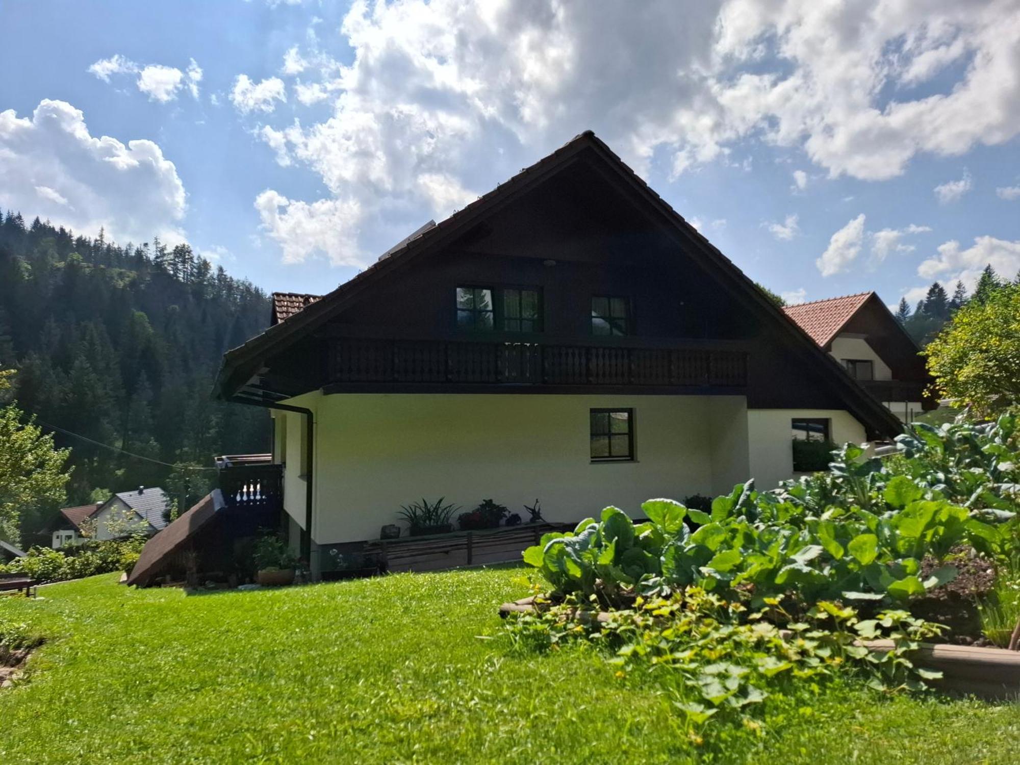 Apartma Cvrsta Trojka Jesenice Extérieur photo